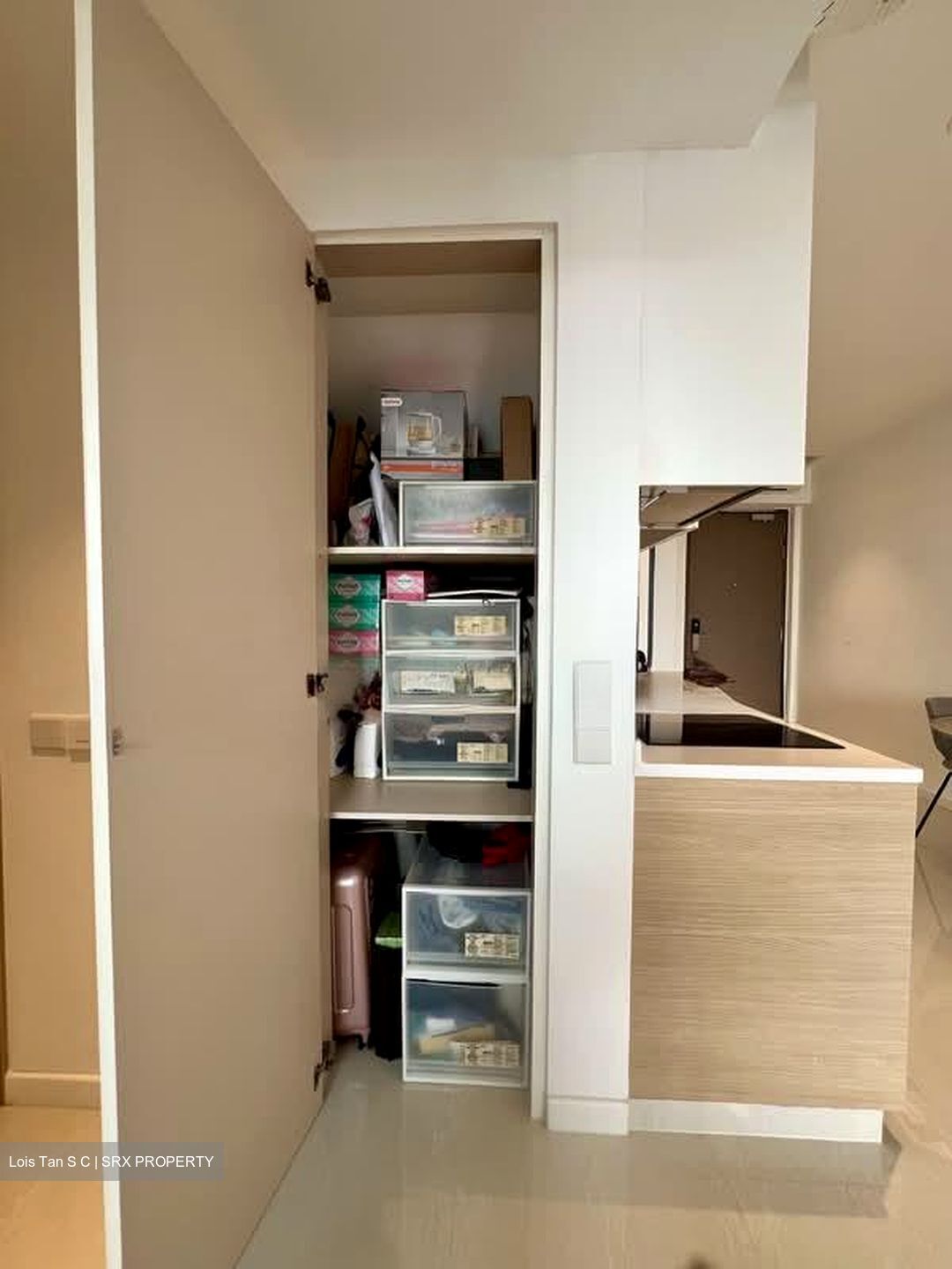 Treasure at Tampines (D18), Condominium #533620331